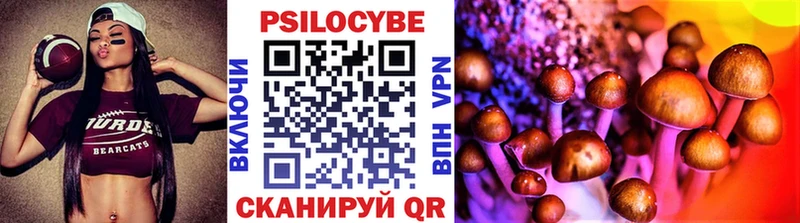Галлюциногенные грибы Psilocybe  Медынь 